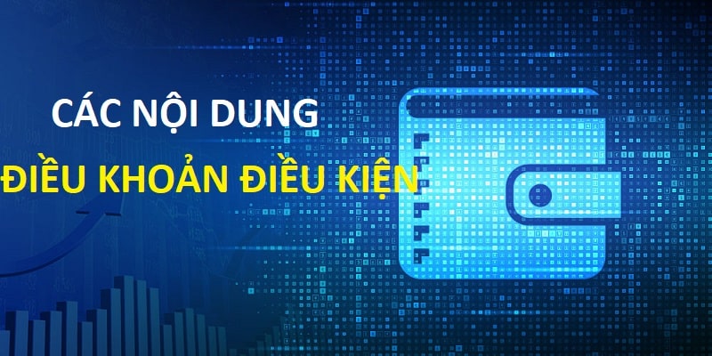 Nội dung hệ thống cập nhật trong điều khoản điều kiện